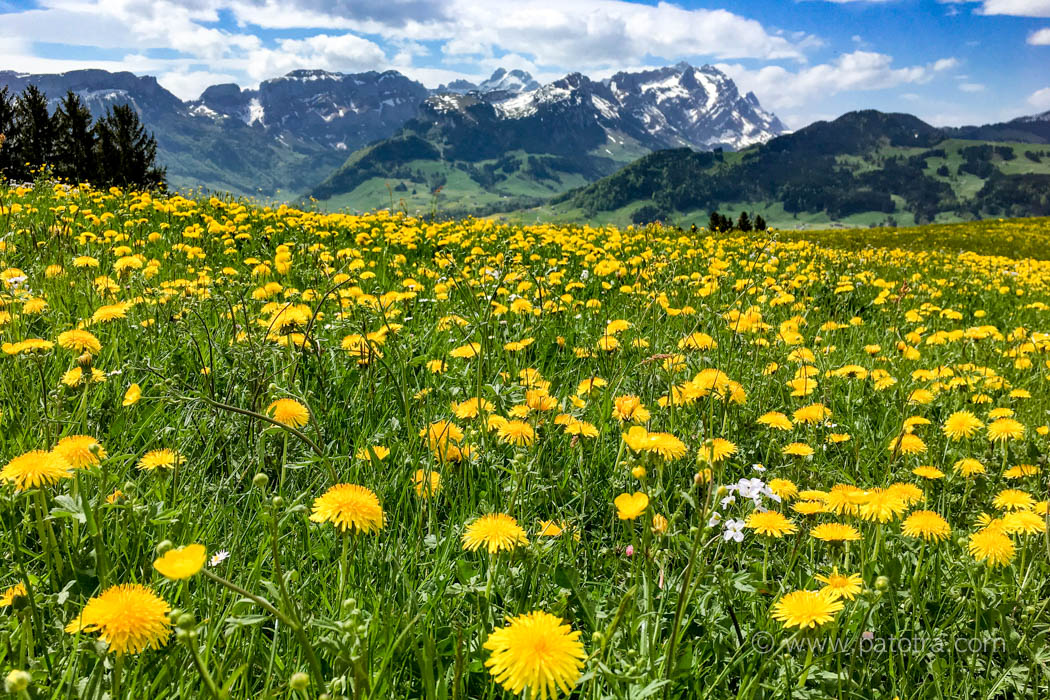 Laercheneggli, Aussicht aus dem Gästehaus