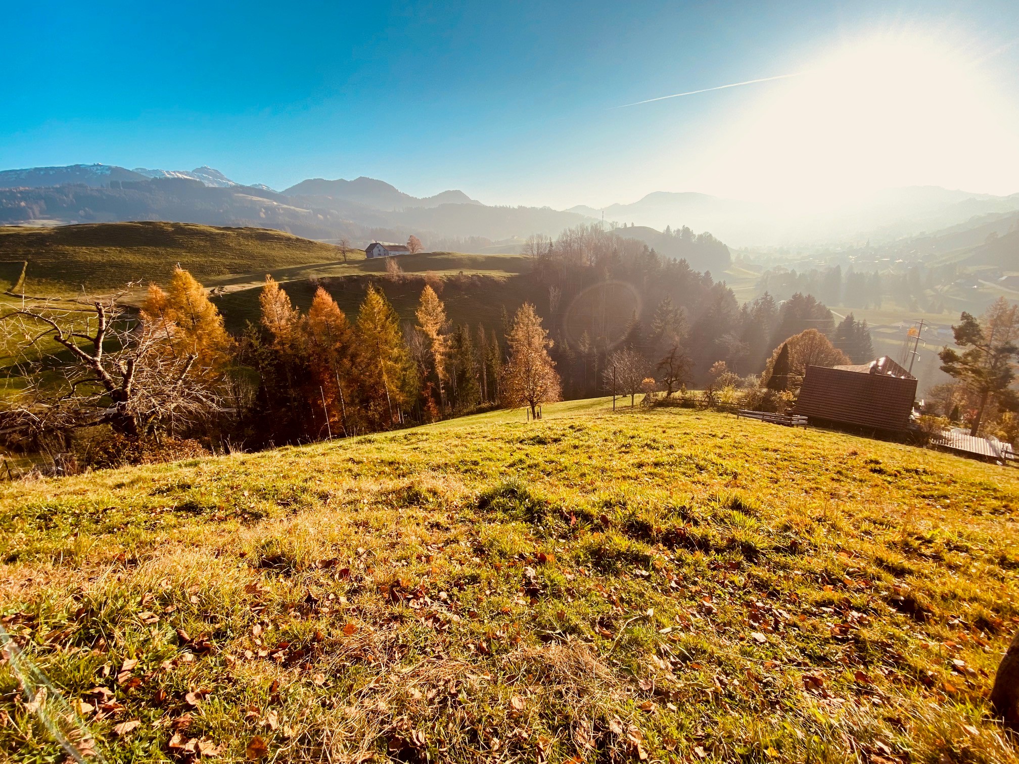 Hundwiler Höhe Hausberg des Lärcheneggli