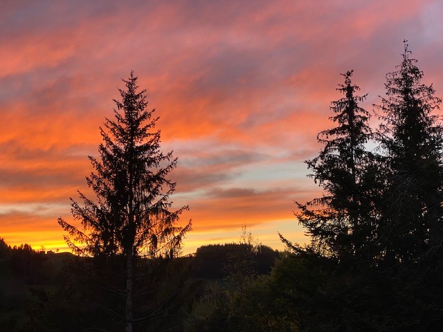 Lärcheneggli Abendstimmung
