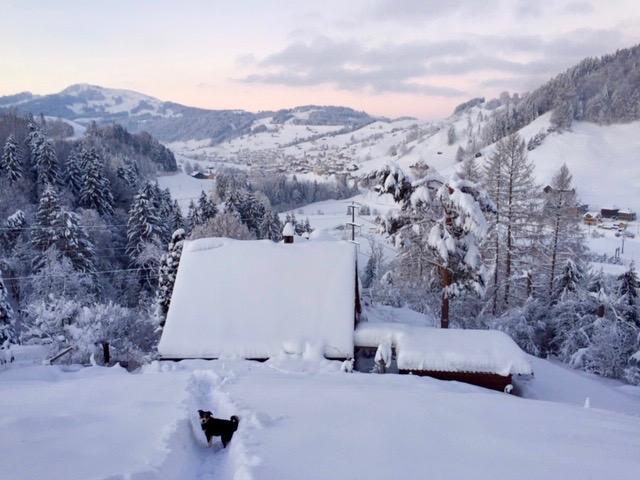 Gästehaus Lärcheneggli von oben Winter